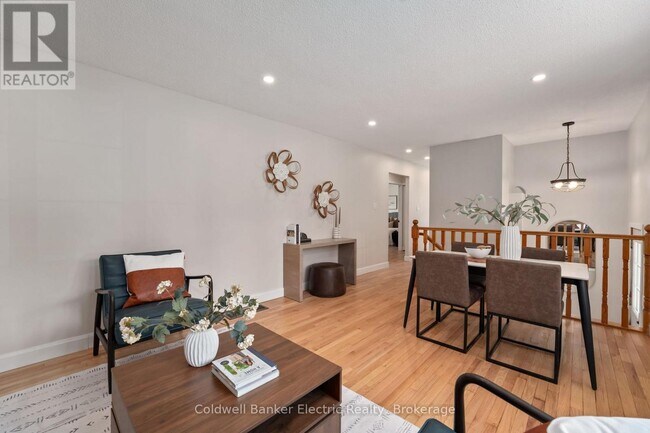 Photo - 8B Pottinger St