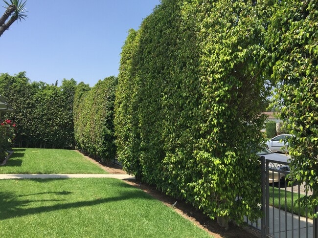 Photo - 263 N Florence St Casa