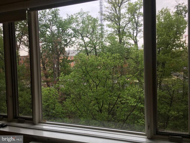 Photo - 4301 Massachusetts Ave NW Unit 5001