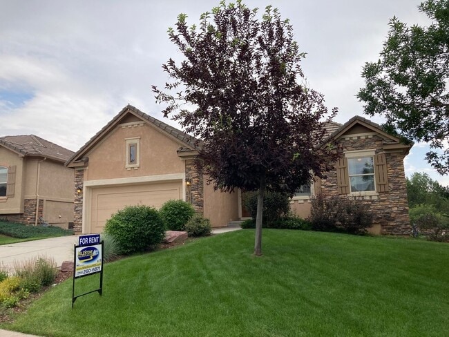 Photo - 2721 Crooked Vine Ct