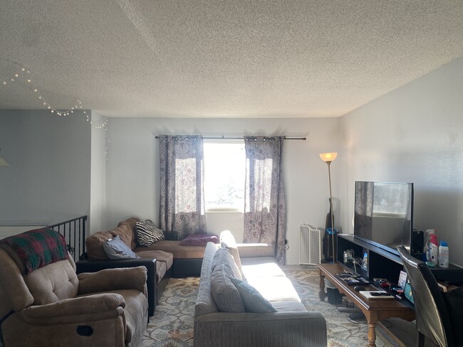 Living Room - 6630 Nokomis Cir