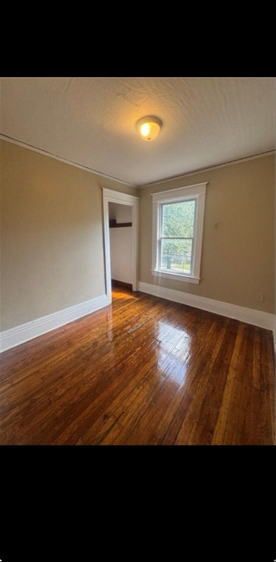 Photo - 42 Curtis St