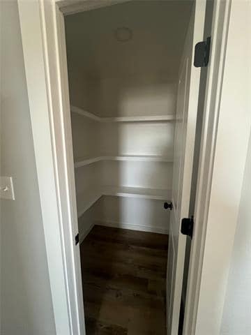 Photo - 1906 Trigger Happy Trl