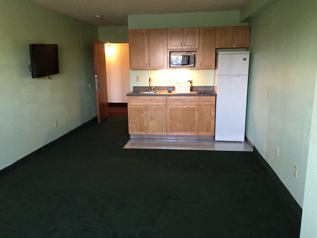 Living Room / Bedroom