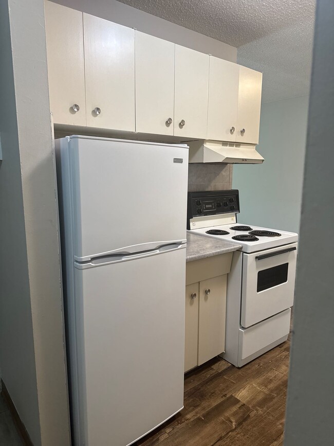 Photo - 1 Bed 1 Bath Unit in Edmonton, AB Unit 303