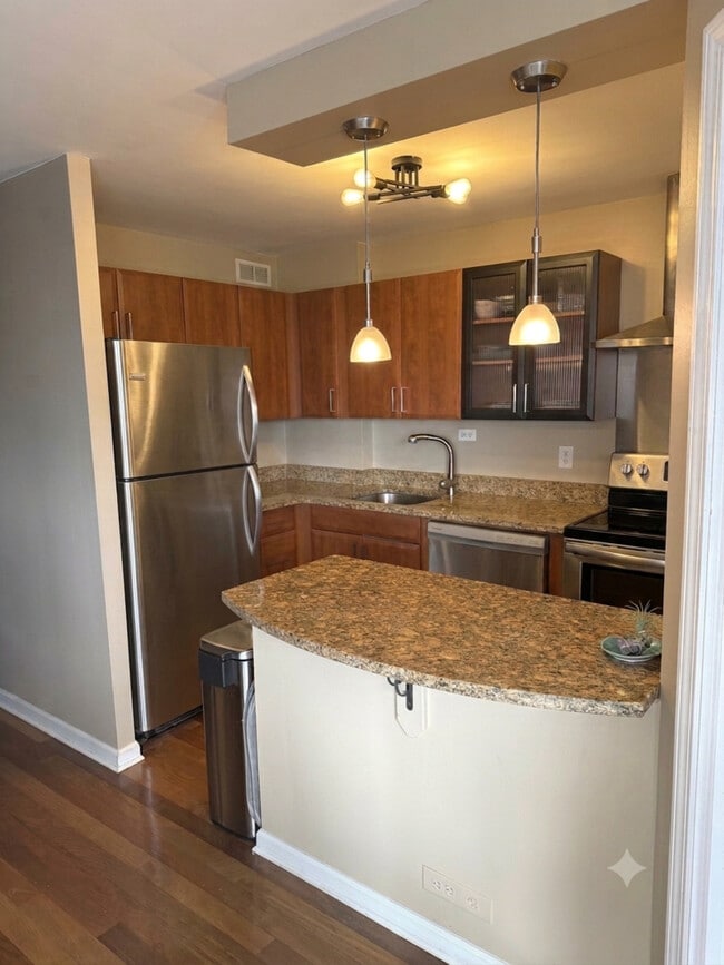 Photo - 1355 N Sandburg Terrace