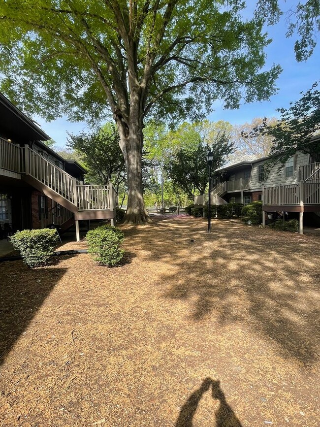 Photo - Salem Square is close to everything!