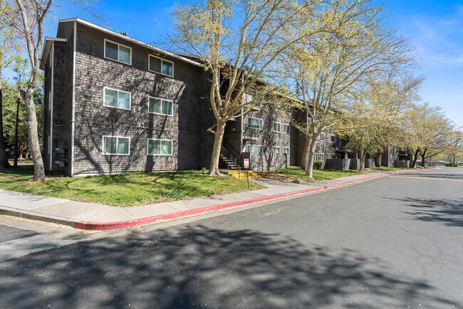 Golden Apartments