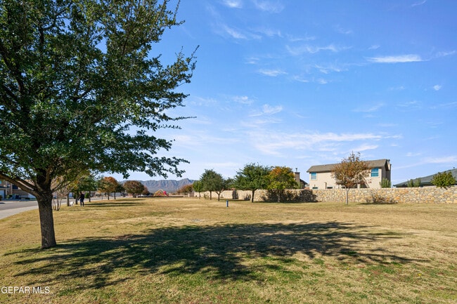 Photo - 11632 Mesquite Miel Dr