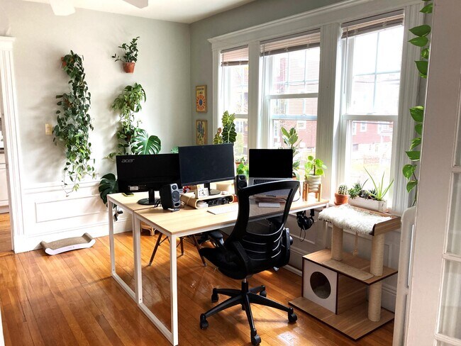 Photo - 50 Boylston St