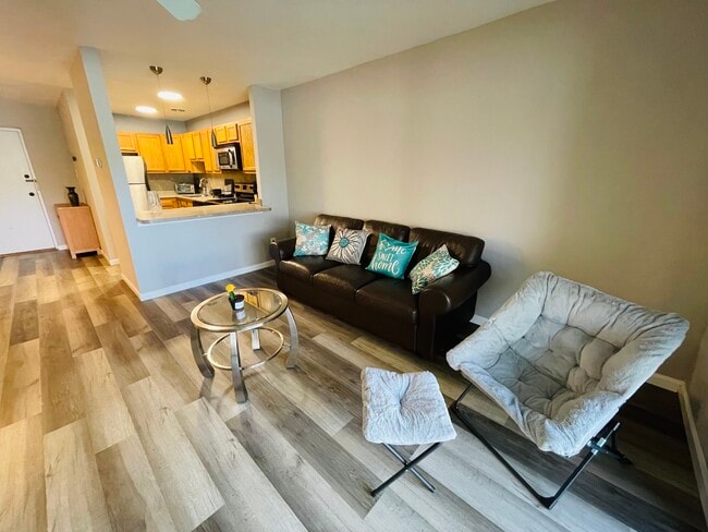 Building Photo - Chelbourne Plaza Rental