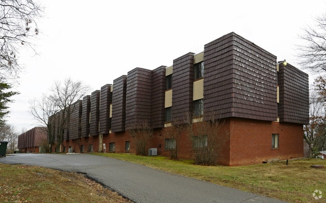 Rear View