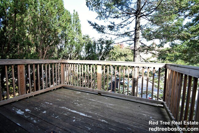 235 Chestnut Hill Ave Unit 2