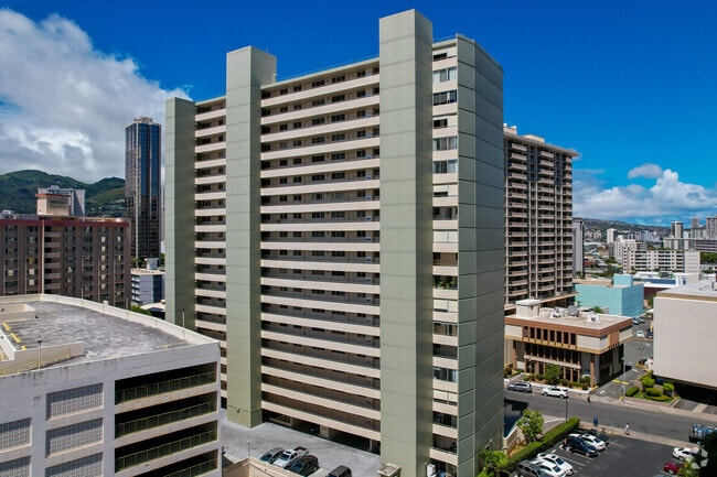 Photo - The Woodrose