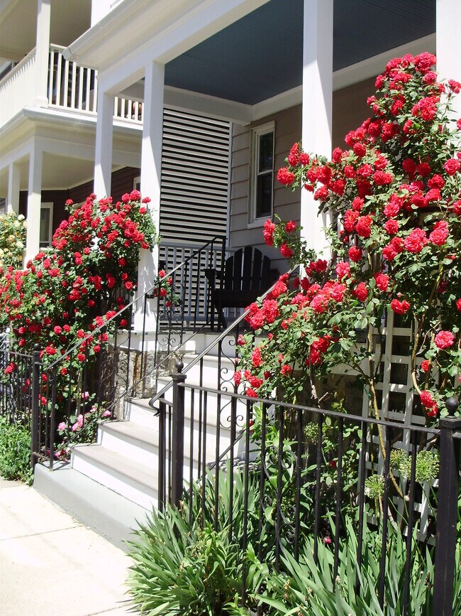 Photo - 38 Saint Margaret St Unit #1