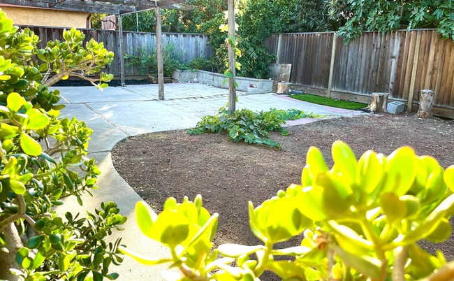 Photo - 2365 Fallingtree Dr