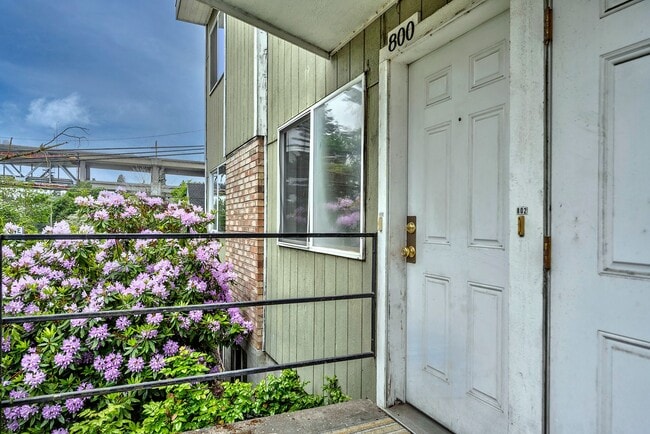 Photo - One Bed/One Bath Seattle Apartment Unit 800