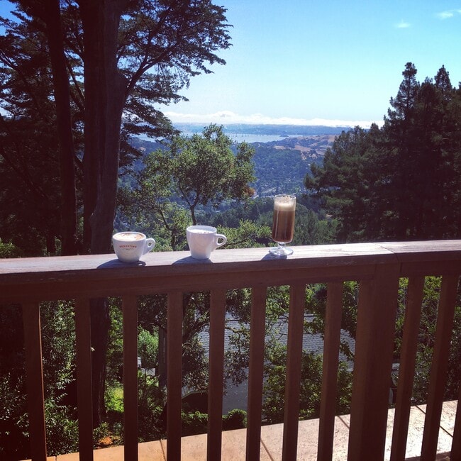 Photo - 14 St Jude Rd