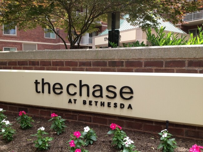 Building Photo - Condo at The Chase in Downtown Bethesda!  Pool, Balcony & Next to Metro! Unit 1113