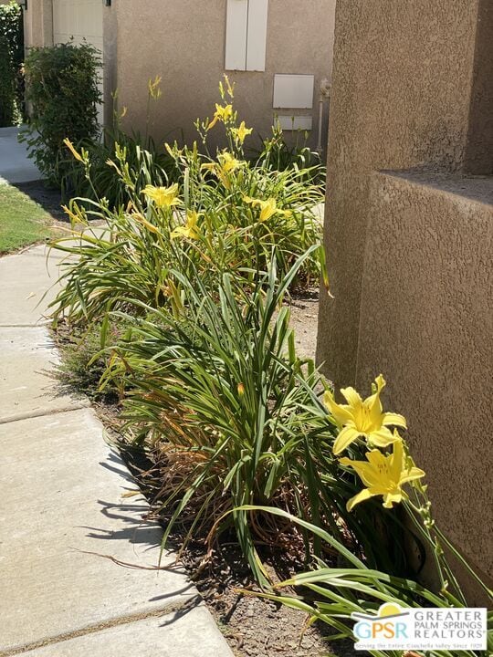 29727 W Laguna Dr