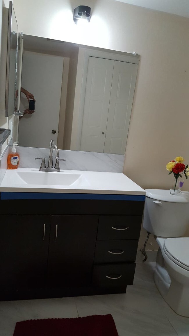 Guest Bathroom Vanity - 16491 Blatt Blvd Unit 102