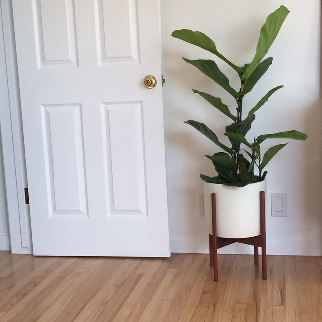 Photo - 3101 3rd St Unit 1