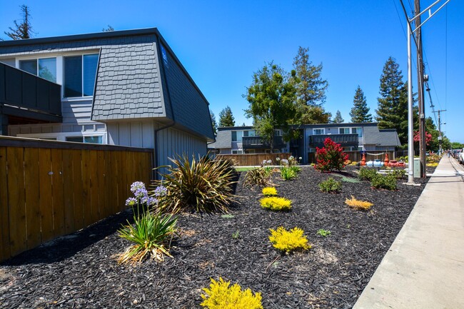 The Boardwalk Apartments