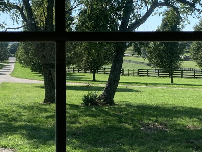 Photo - 2900 Newtown Pike Unit A