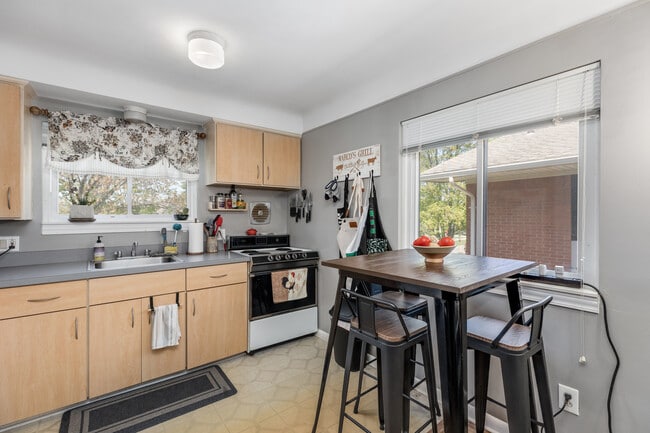 Previous Tenant's Kitchen Furnishings (before latest updates)