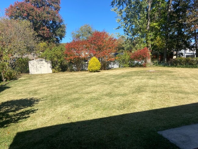 Photo - 253 Holly Ave