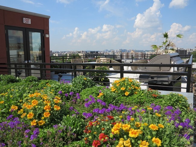 Photo - 1350 Florida Ave NW