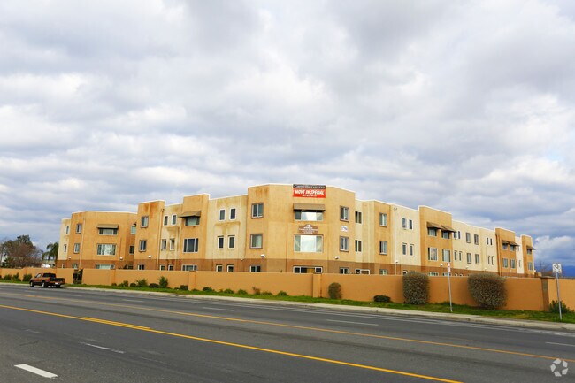 Photo - Camellia Gardens