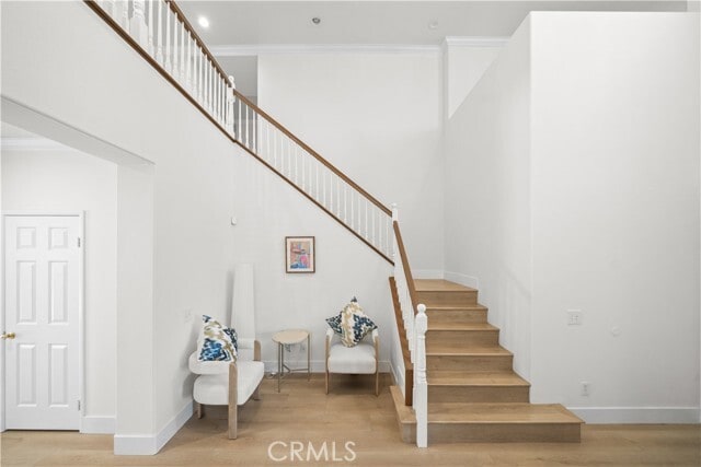 13953 Ellis Park Tr