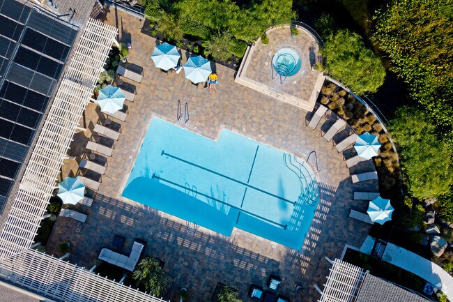 Aerial Lake Pool