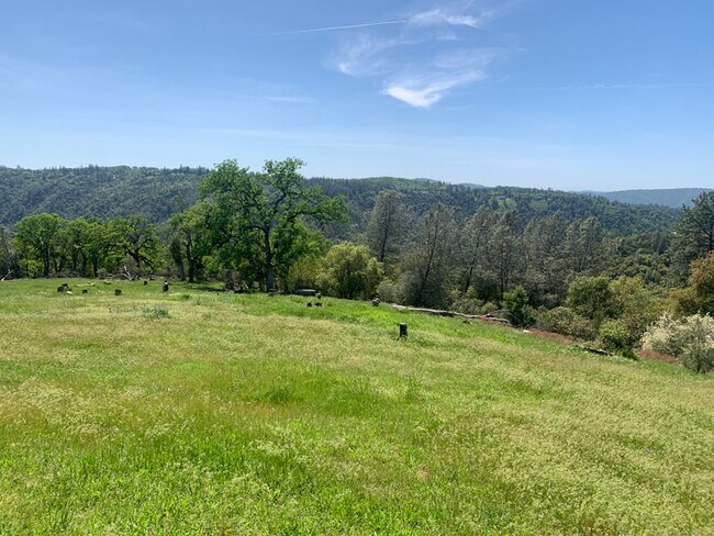 Photo - 7201 Dead Horse Rd