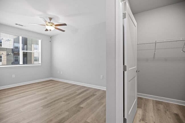 Window Blind Covering