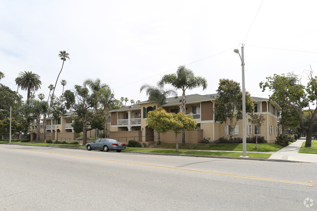 Building Photo - Palm Terrace Rental