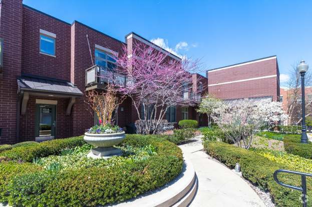 Building Photo - 1515 S Halsted St Rental