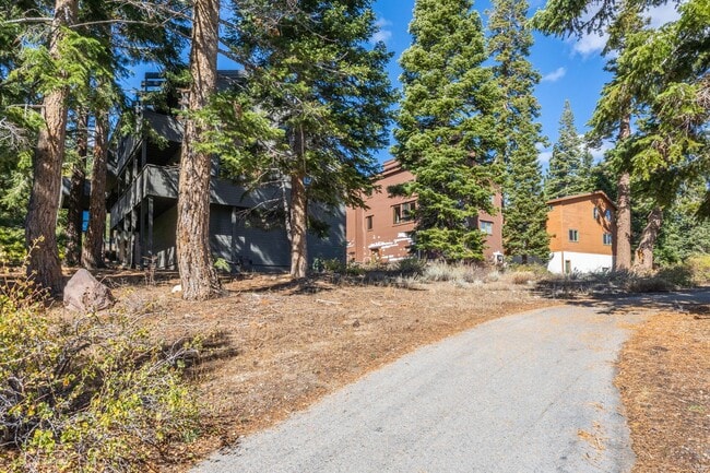 Photo - 283 Monterey Pine Rd