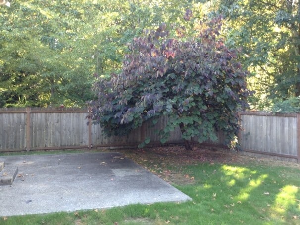 Photo - 14016 80th Avenue Ct E