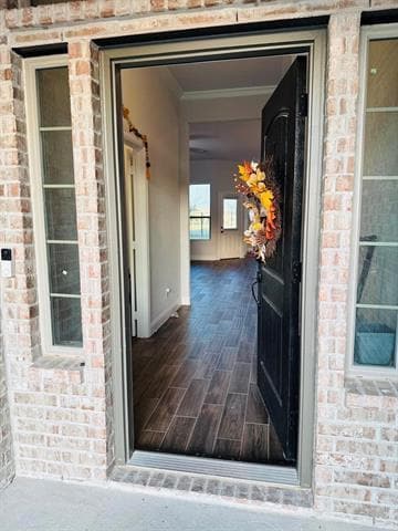Photo - 4006 Cottontail Dr