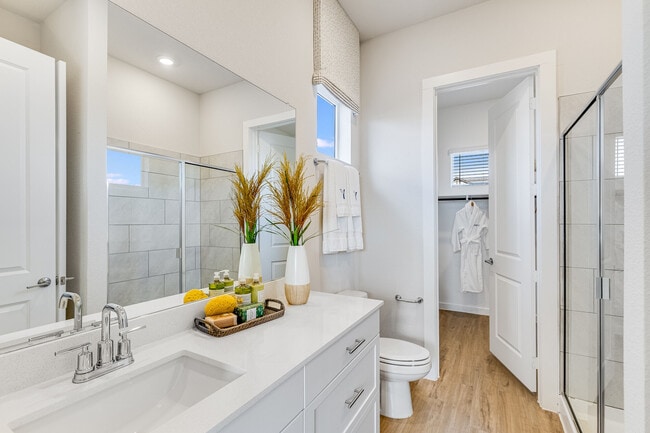 Yardly Town Center apartments — community photo