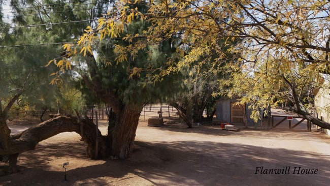 Photo - 3349 N Flanwill Blvd