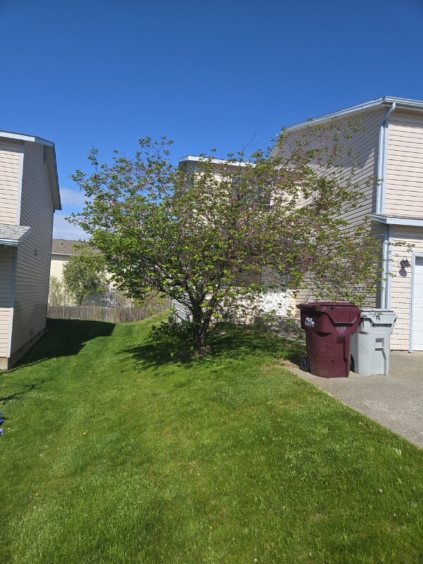 Photo - 537 Karcio Ct Townhome