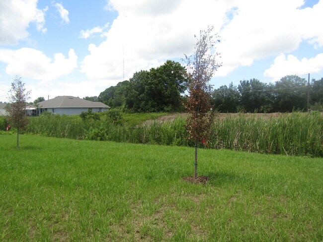 Photo - 9113 Waldrep St