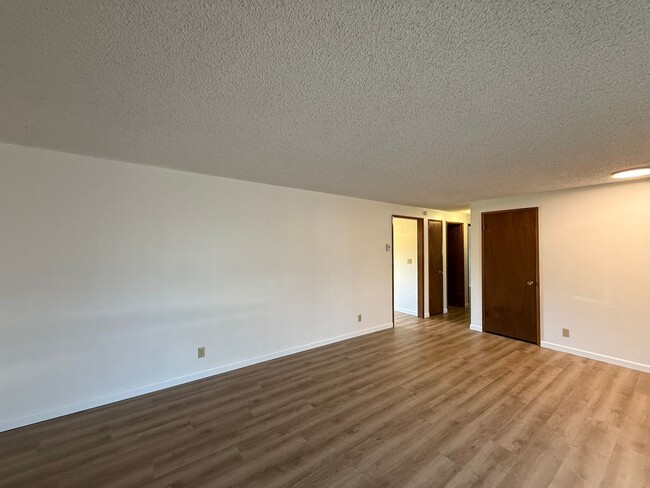 Photo - Santa Clara Gem