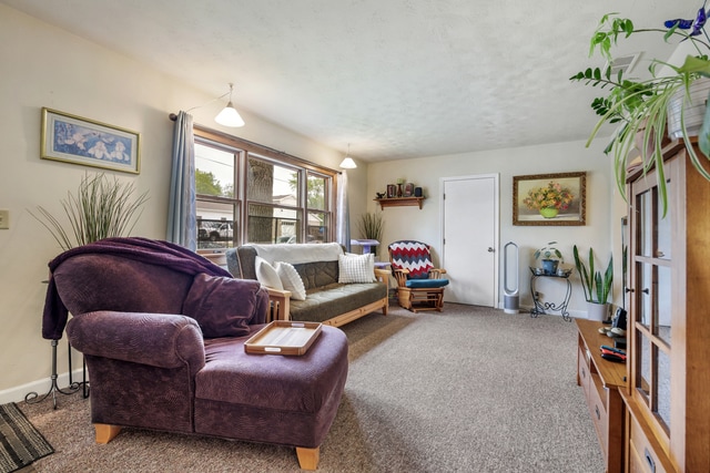 223 Ellen St