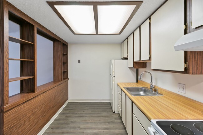 Forest View Apartments