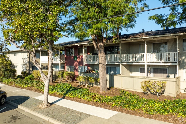 Baywood Apartments