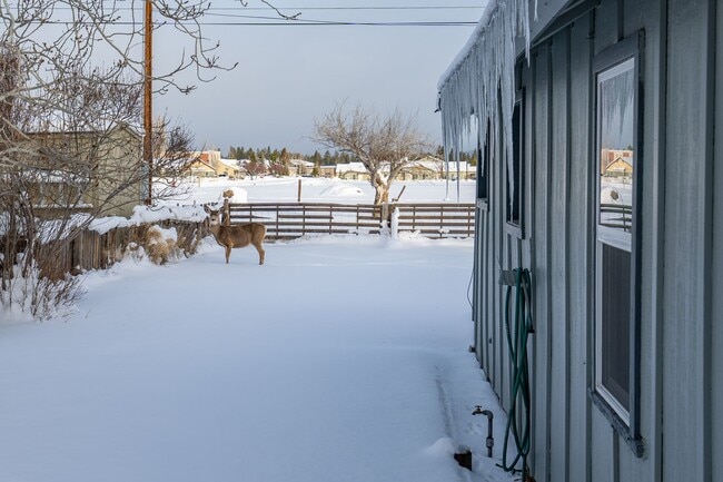 Photo - Crisp Remodeled 3-Bdr in Heart of Sisters!